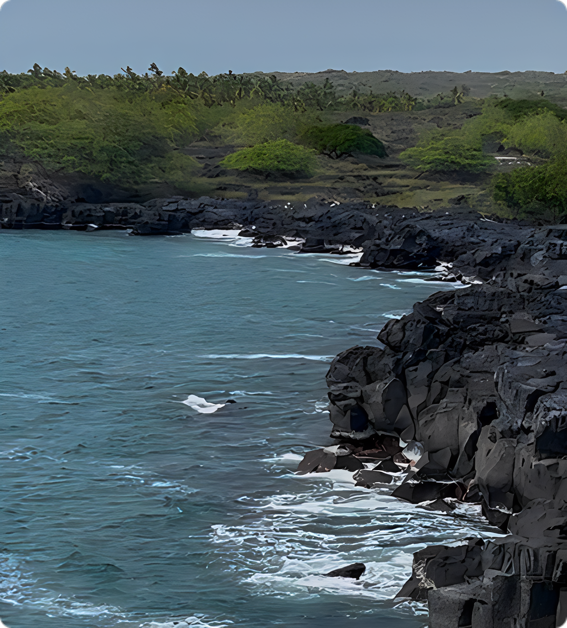 Rocky coastline with lush greenery and ocean.