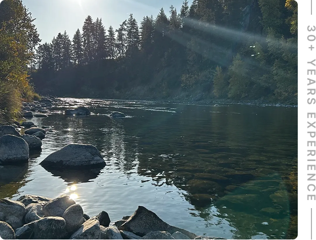 River with rocks and trees in sunlight.